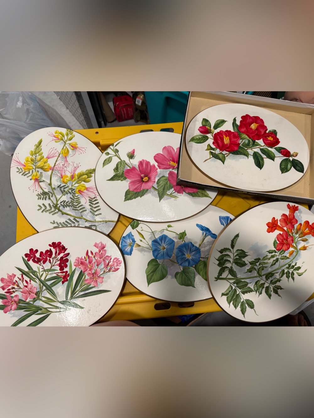 VTG Lady Clare Oval Floral Table Mats Lot of 6 Boxed England